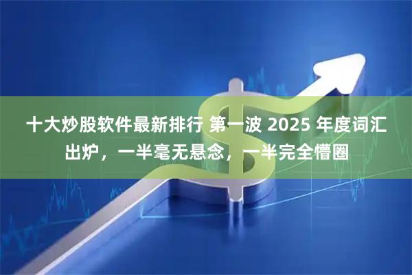 十大炒股软件最新排行 第一波 2025 年度词汇出炉,一半毫无悬念,一半完全懵圈