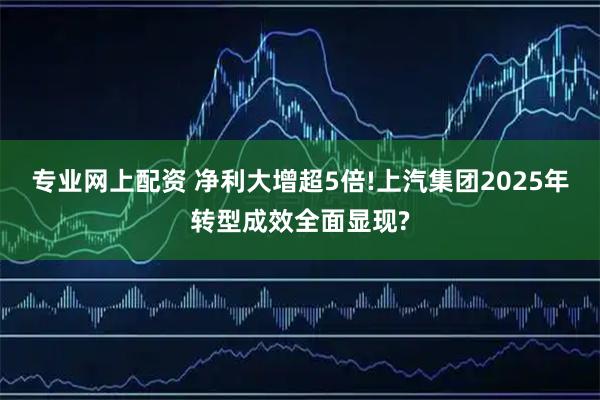专业网上配资 净利大增超5倍!上汽集团2025年转型成效全面显现?