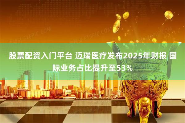 股票配资入门平台 迈瑞医疗发布2025年财报 国际业务占比提升至53%