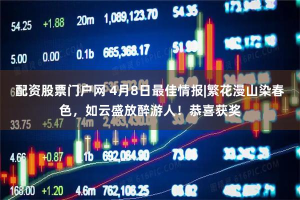 配资股票门户网 4月8日最佳情报|繁花漫山染春色，如云盛放醉游人！恭喜获奖